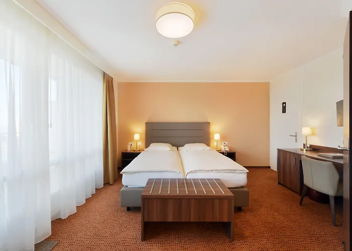 酒店 精英酒店 3*