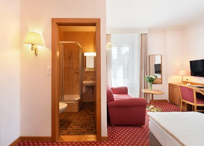 酒店 精英酒店 3*