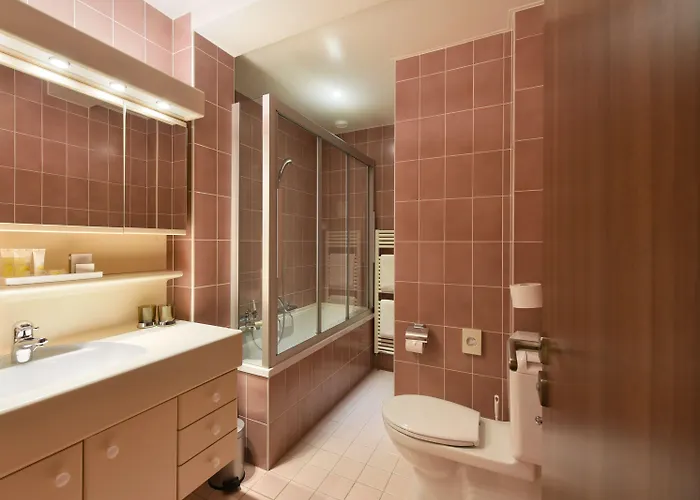 酒店 精英酒店 3*