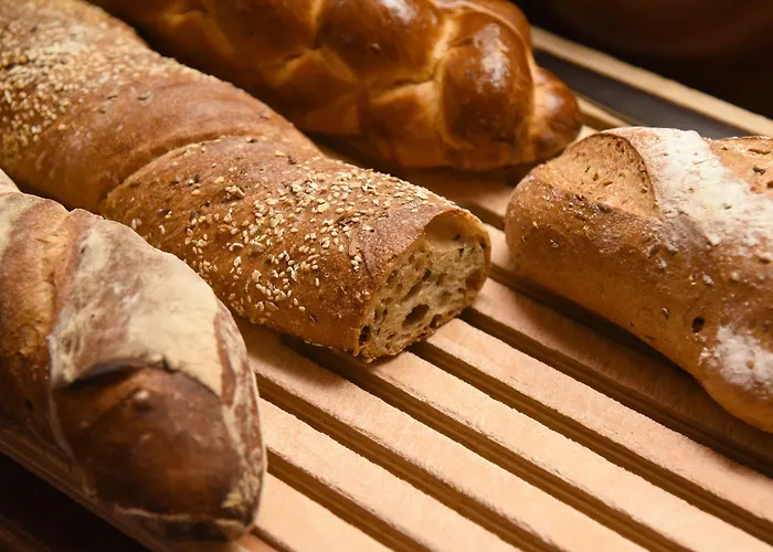 精英酒店 酒店 洛桑