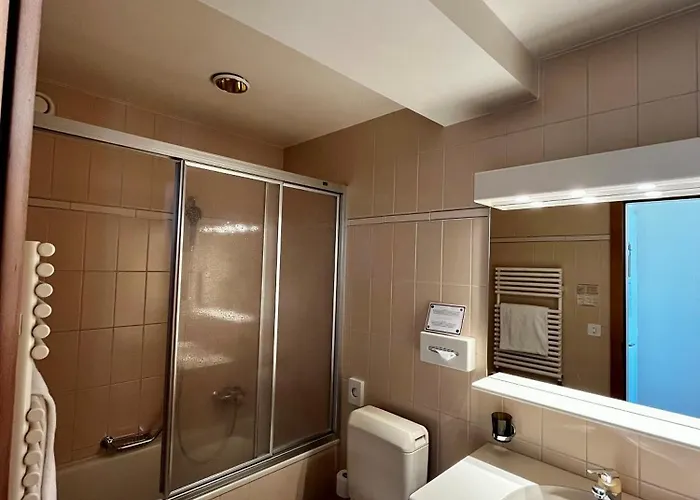 酒店 精英酒店 3*